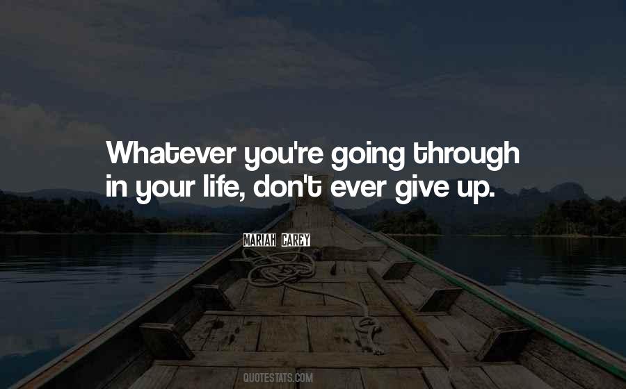 Quotes About Life Don't Give Up #565322