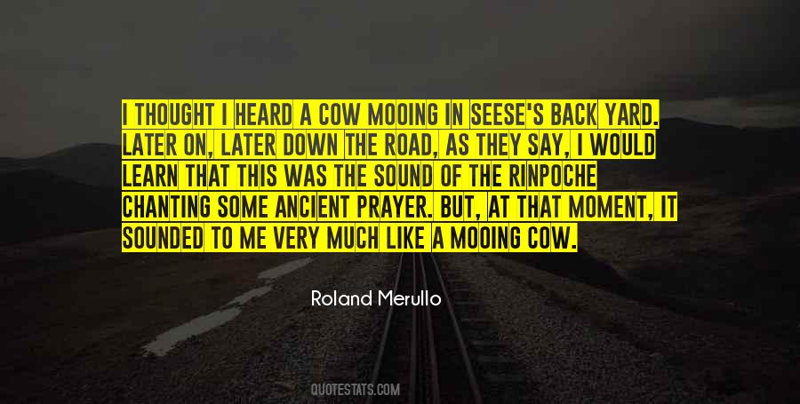 Mooing Quotes #921215