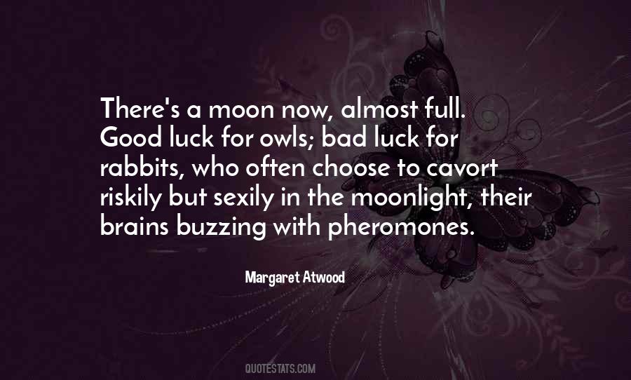 Moonlight's Quotes #11644