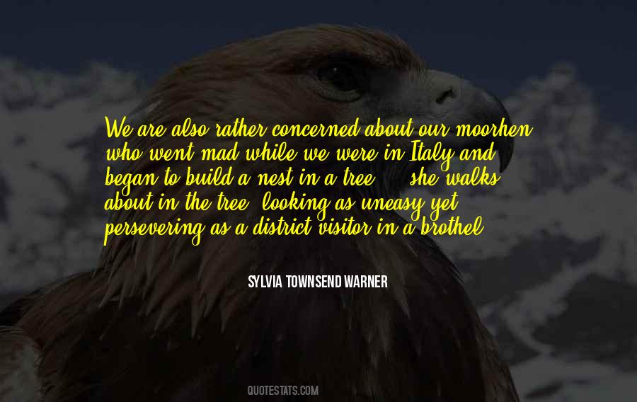 Moorhen Quotes #1650088