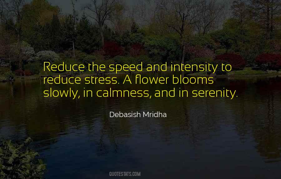 Quotes About Calmness And Serenity #1752669