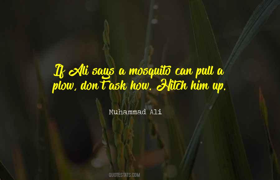 Mosquito's Quotes #1203765