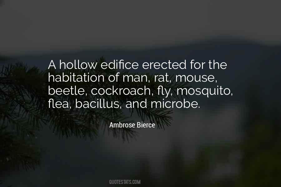 Mosquito's Quotes #632324
