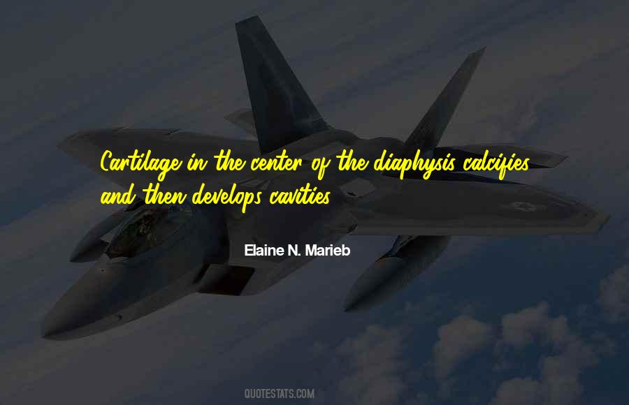 N'maybe Quotes #6861