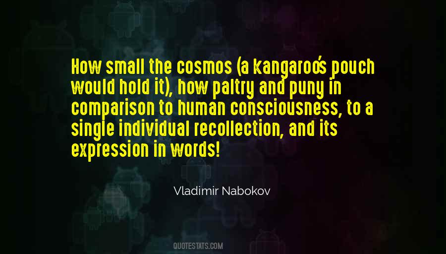 Nabokov's Quotes #102739