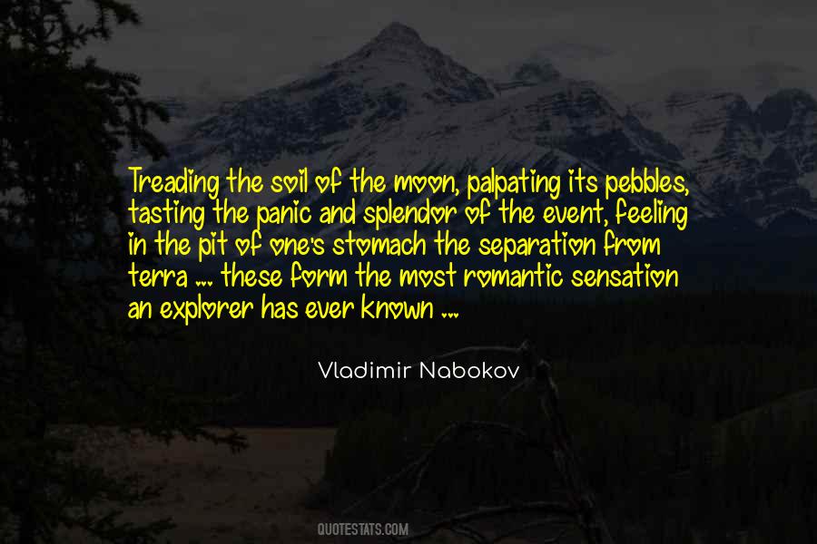 Nabokov's Quotes #1541591