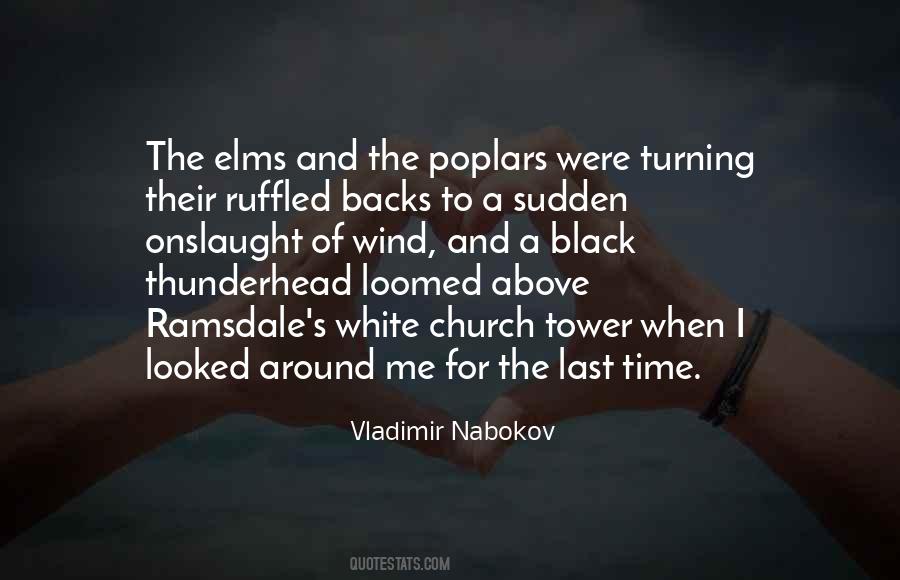 Nabokov's Quotes #816390