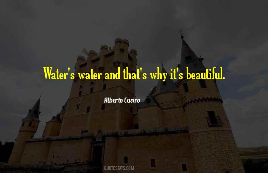 Quotes About Beauty And Simplicity #734996