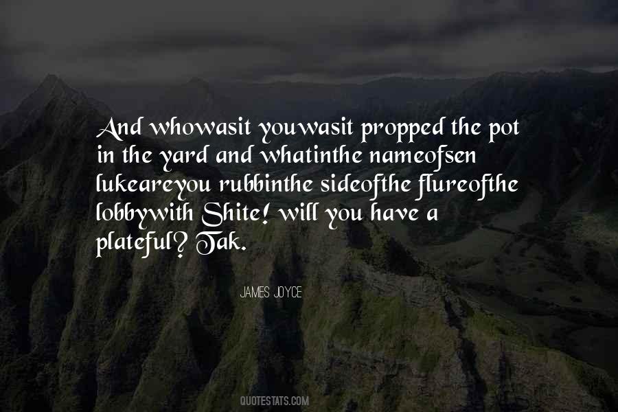 Nameofsen Quotes #1597113