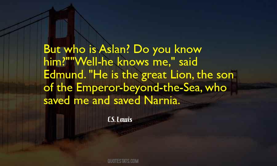 Narnia's Quotes #684939