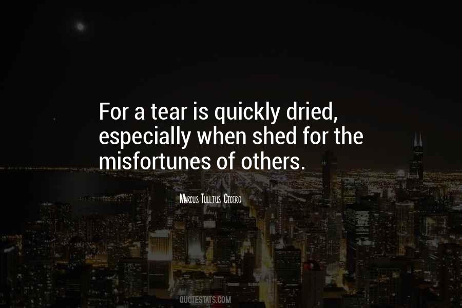 Quotes About Misfortunes Of Others #978055