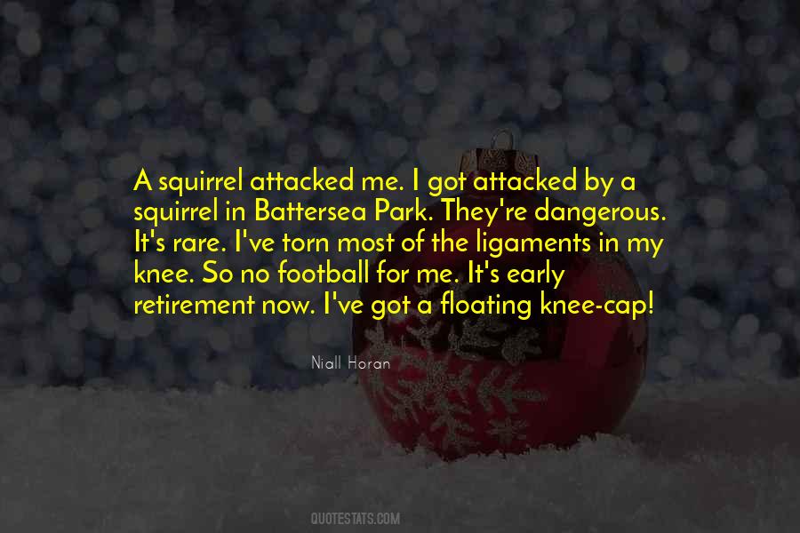 Niall's Quotes #822406