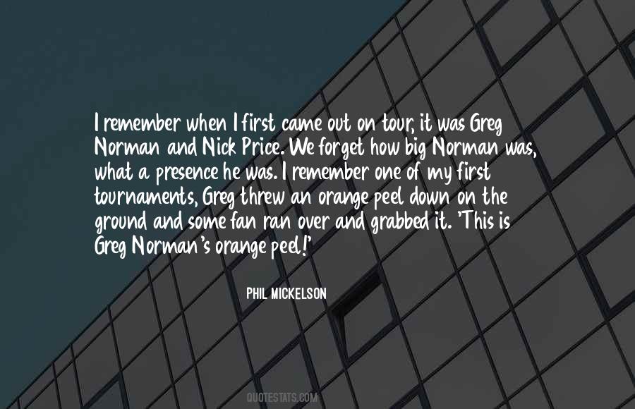 Nick's Quotes #16101 Nick's Quotes #16101