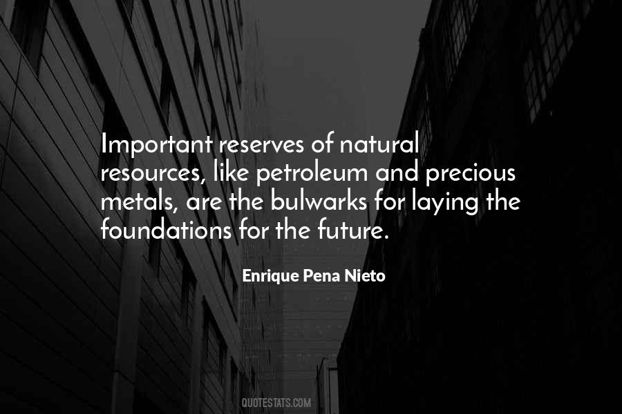 Nieto Quotes #445583
