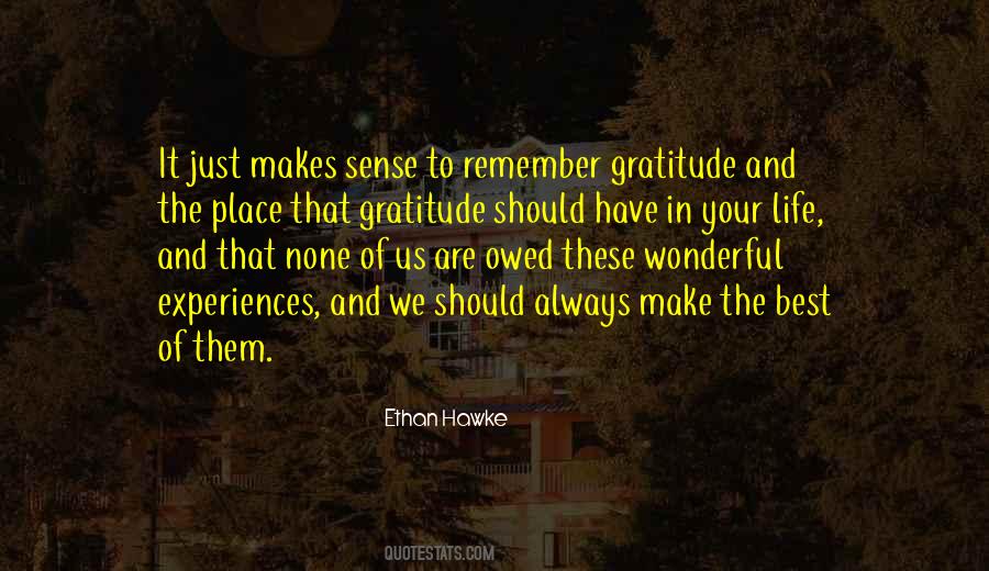 Quotes About Sense Of Gratitude #897403