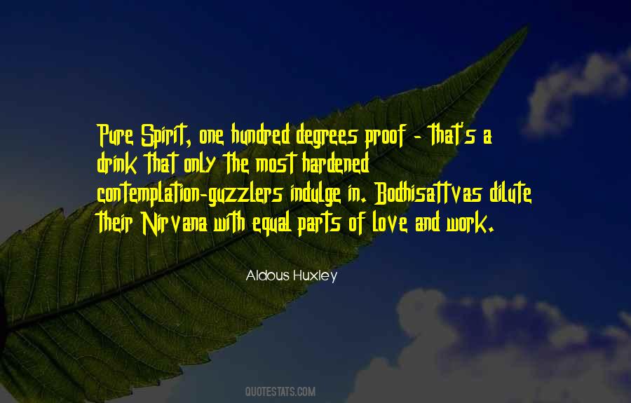 Nirvana's Quotes #229687