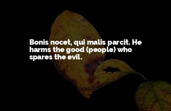 Nocet Quotes