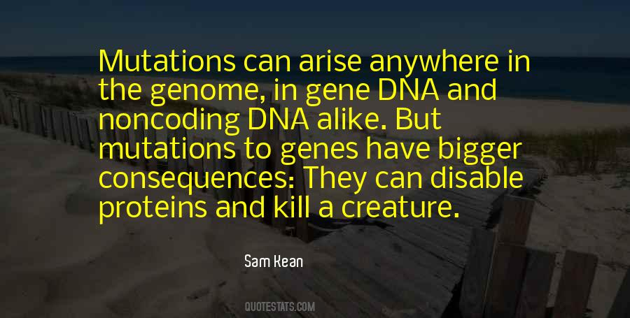 Noncoding Quotes #1636306