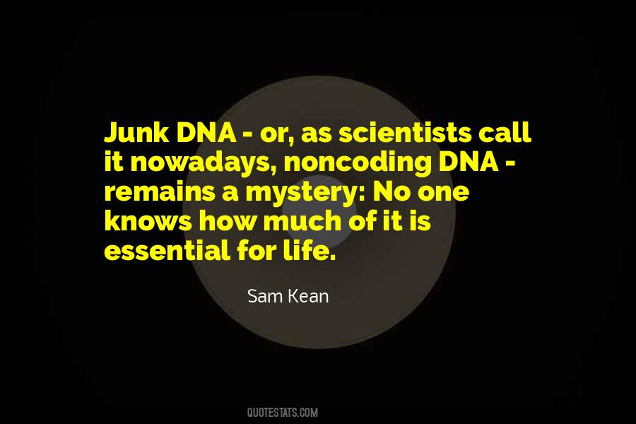 Noncoding Quotes #316986
