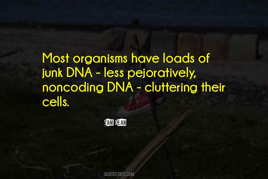 Noncoding Quotes #674754