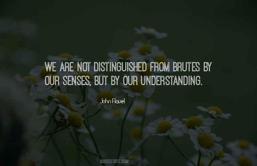 Nonsolid Quotes #119314