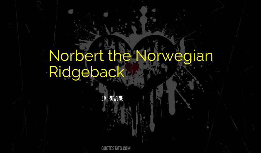 Norbert's Quotes #1334823
