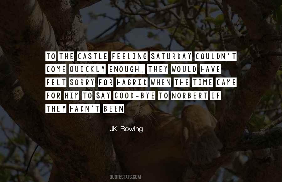 Norbert's Quotes #593080