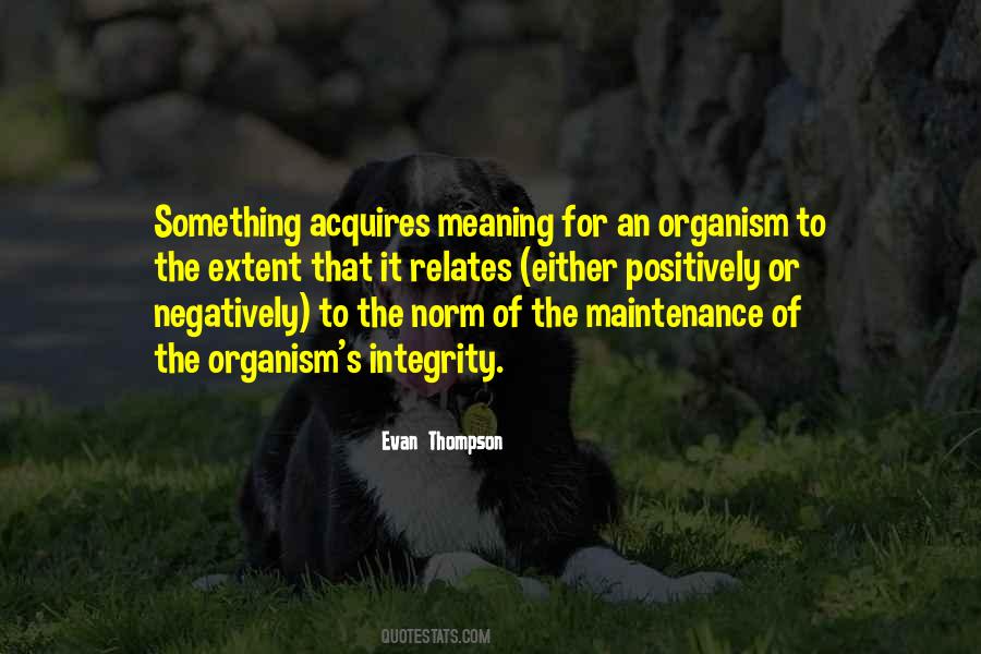 Normativity Quotes #181156