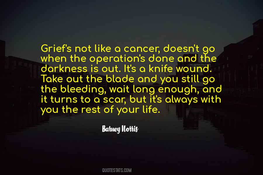 Norris's Quotes #1530270