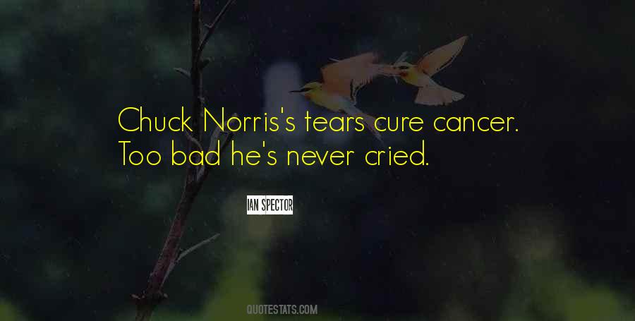 Norris's Quotes #314434