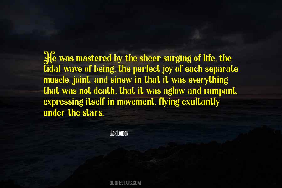 Quotes About Joy In Death #1462448