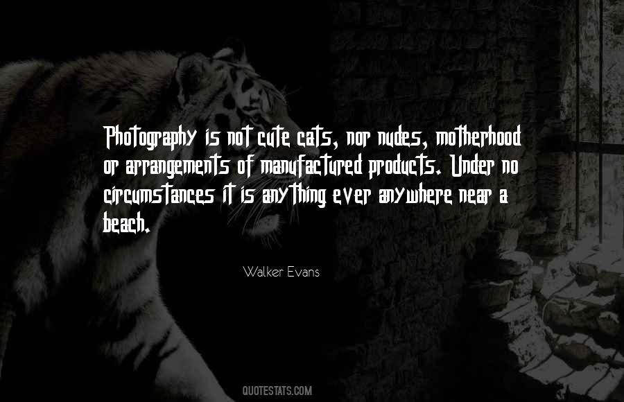 Nudes Quotes #1195140
