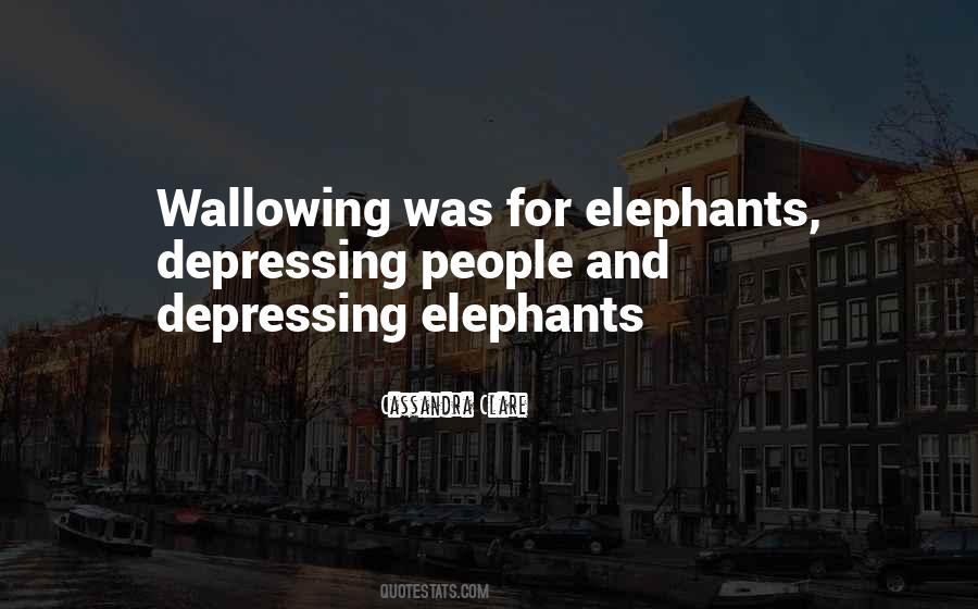 Quotes About Wallowing #1451269