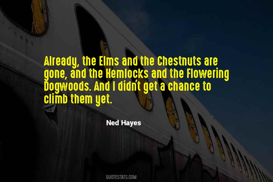 Quotes About Chestnuts #959400