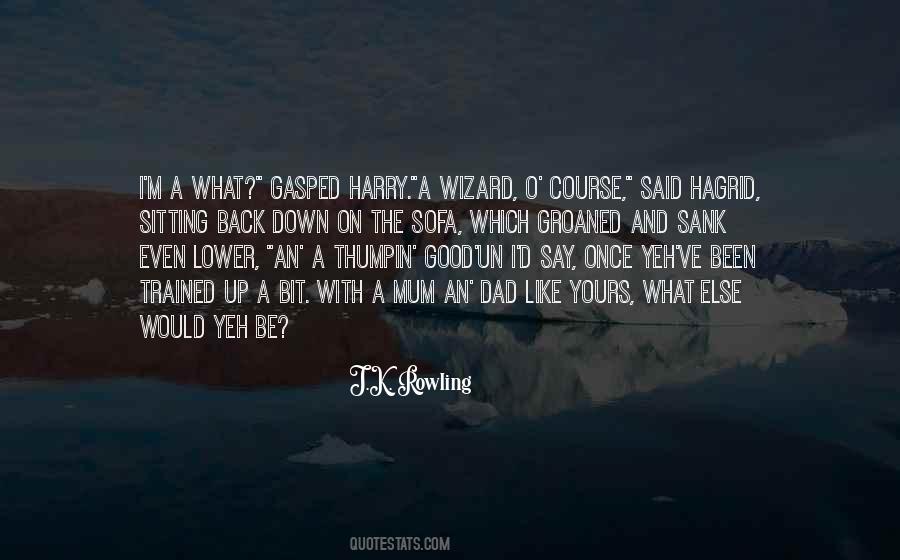 O'course Quotes #1513579 O'course Quotes #1513579