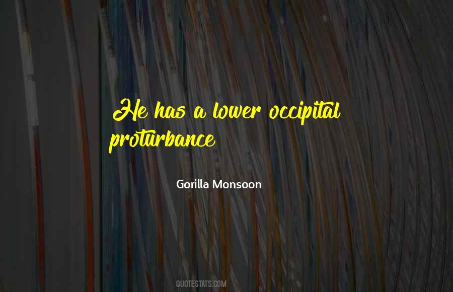 Occipital Quotes #189626