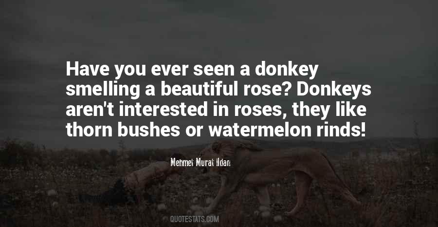 Quotes About Smelling Like Roses #663593