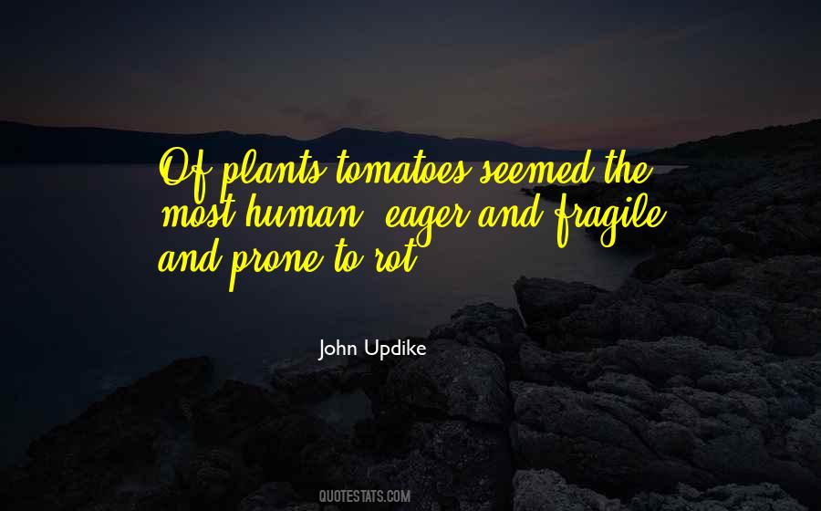 Ostroff Quotes #59505