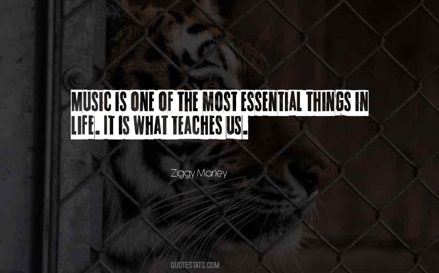 Owlet Quotes #1302422