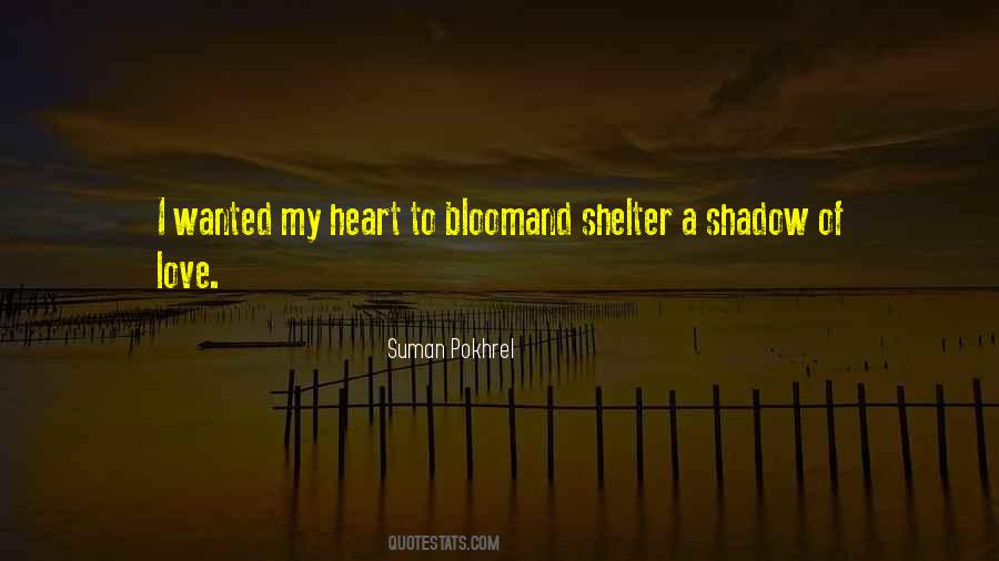 Owlet Quotes #1524589