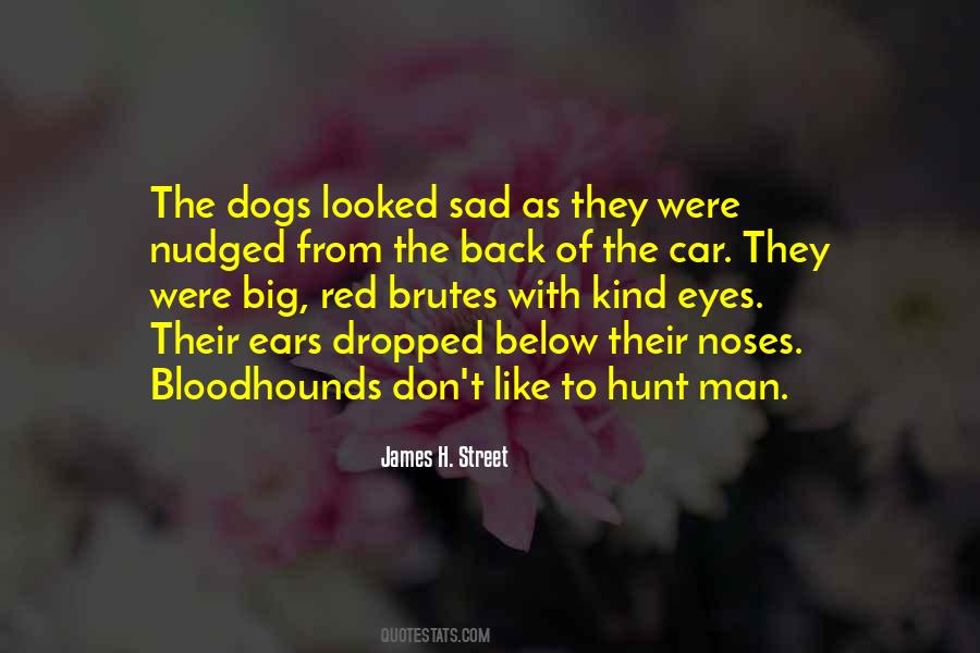 Quotes About Bloodhounds #616778