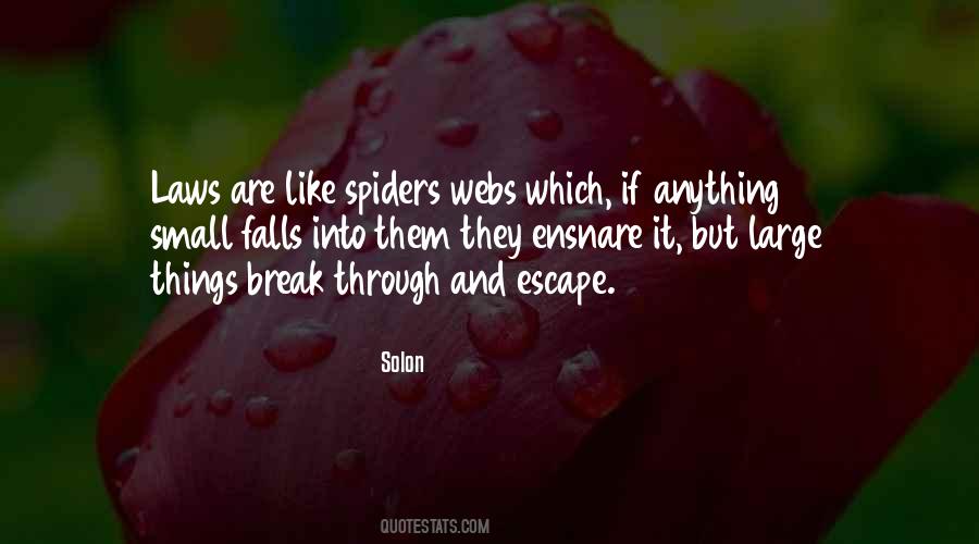 Quotes About Webs #483091