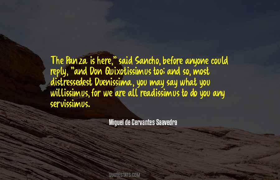Panza Quotes #1335014