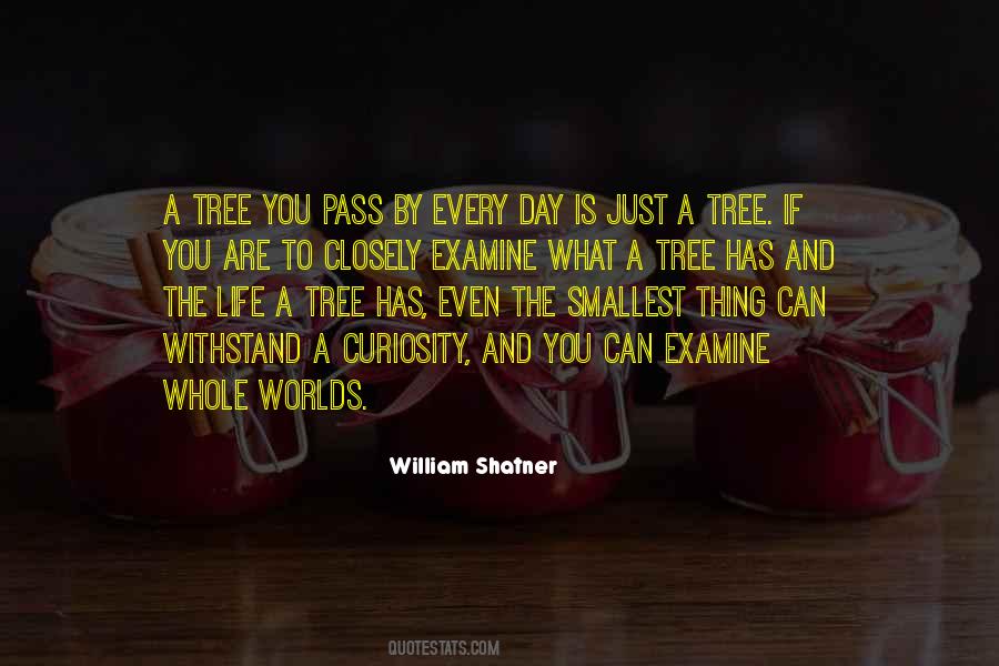 Quotes About Smallest Life #1322354