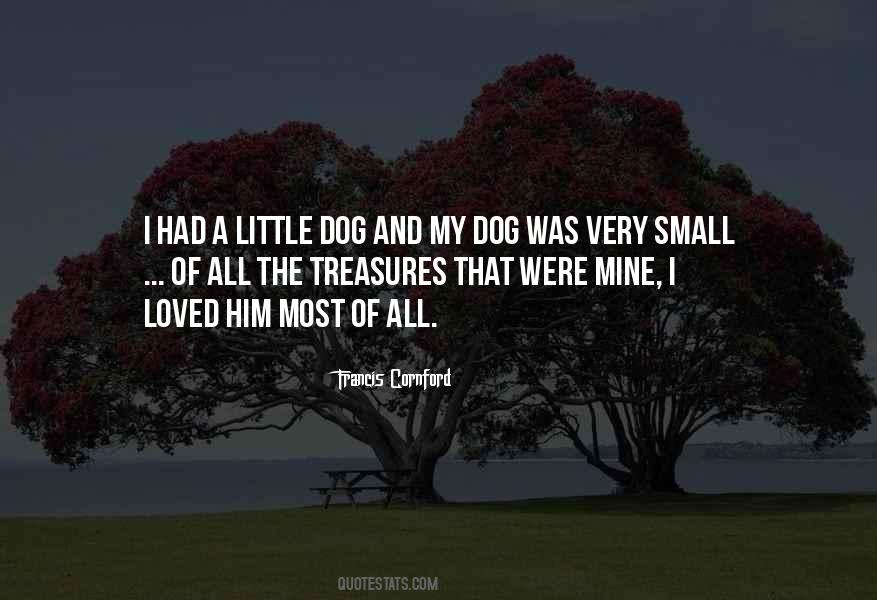 Quotes About Small Treasures #728272
