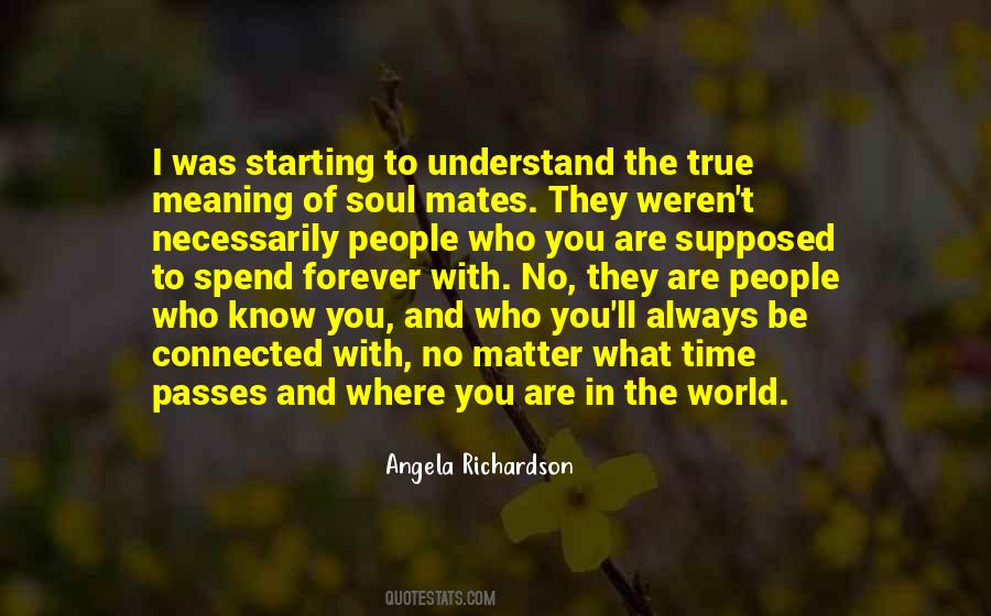 Quotes About Soul Mates #1356553