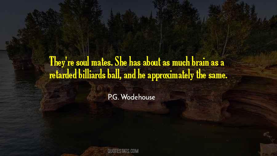 Quotes About Soul Mates #410729