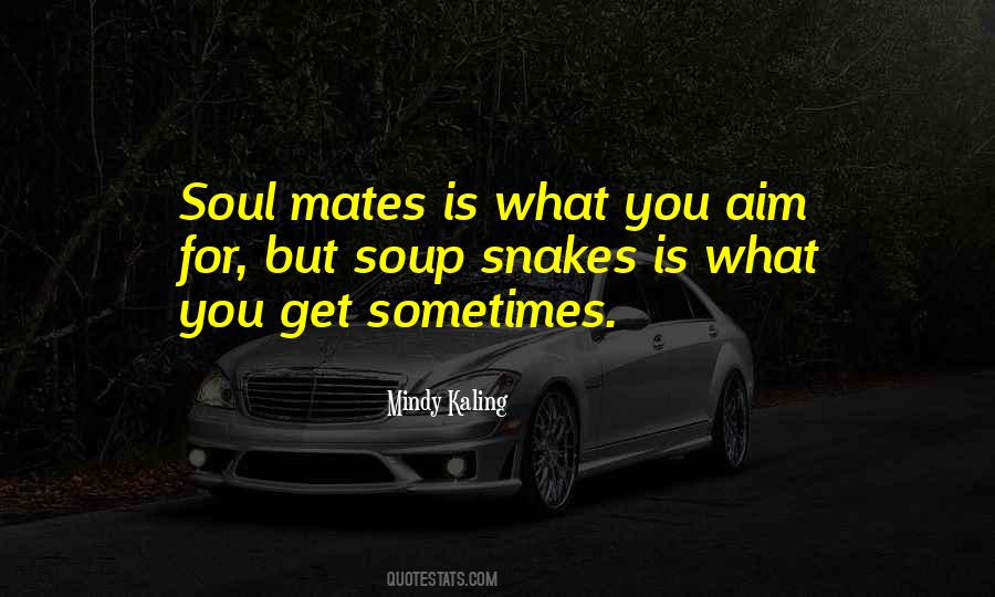 Quotes About Soul Mates #628389