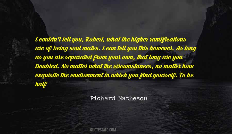 Quotes About Soul Mates #893853