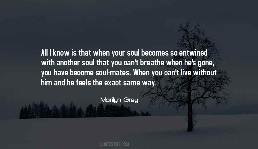 Quotes About Soul Mates #8940